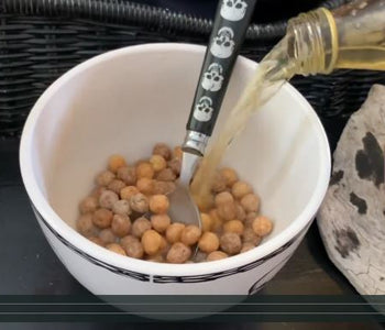 Zumiez couch surfing with A Lost Cause